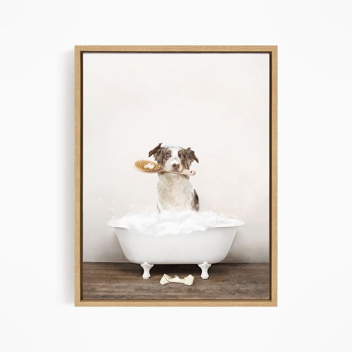 Australian Shephard in Rustic Bath Style Lots of Foamy Bubbles