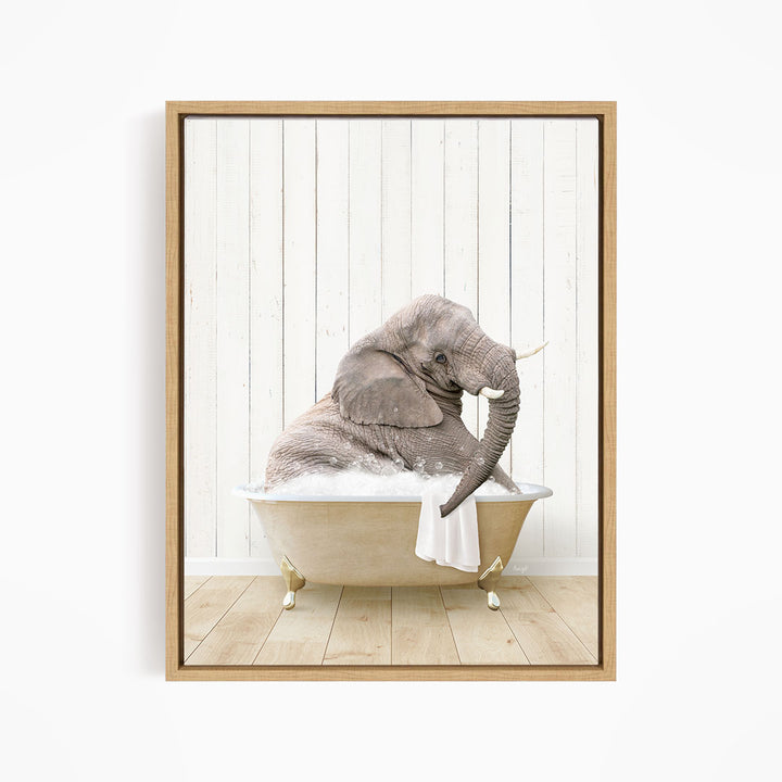 Young Elephant in Farmhouse Bath