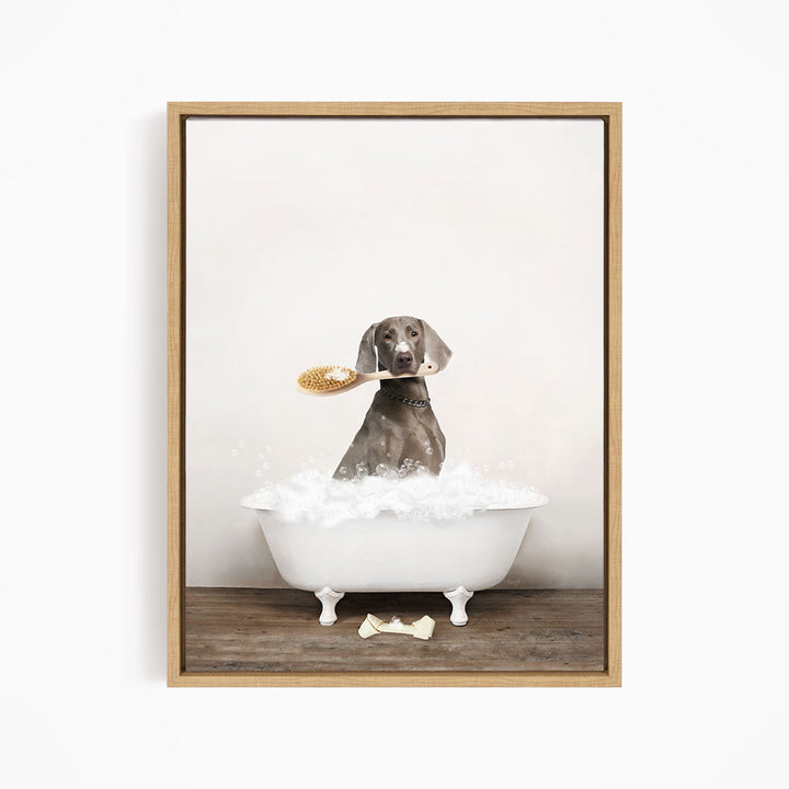 Weimaraner in Rustic Bath Style Lots of Foamy Bubbles
