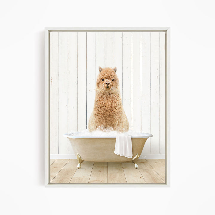 Alpaca in Farmhouse Bath