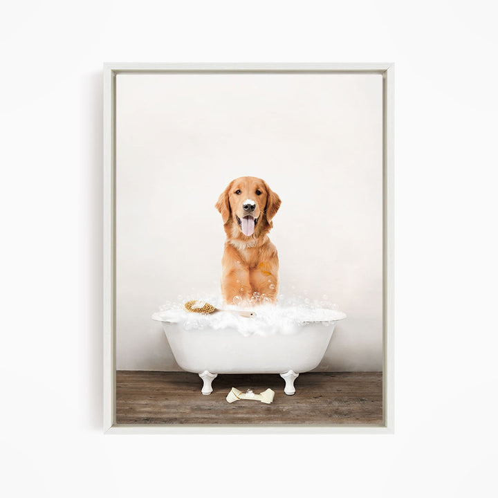 Amber Retriever in Rustic Bath Style Lots of Foamy Bubbles