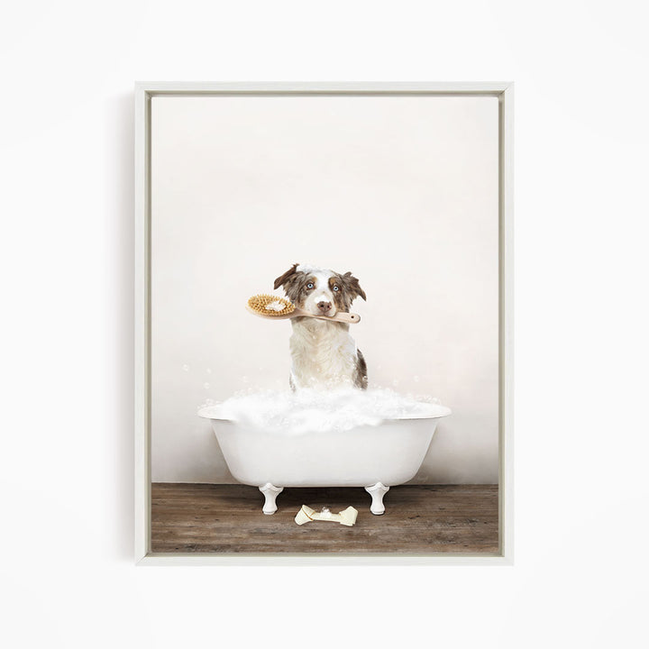 Australian Shephard in Rustic Bath Style Lots of Foamy Bubbles