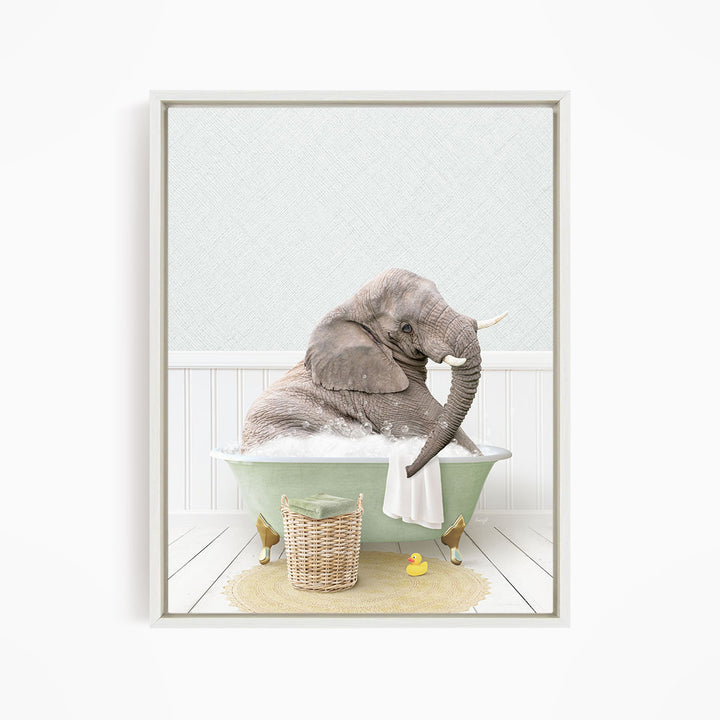 Young Elephant in Cottage Green Bath