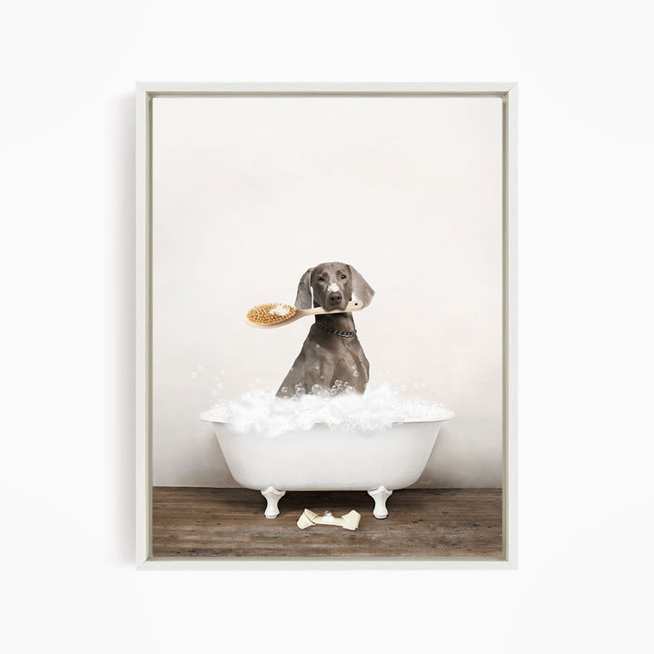 Weimaraner in Rustic Bath Style Lots of Foamy Bubbles