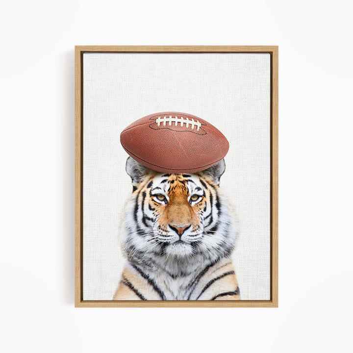 A tiger with a football on its head, looking directly at the camera.
