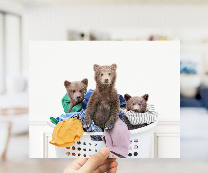 Three Bear Cubs in Laundry Basket - Simple White Wall