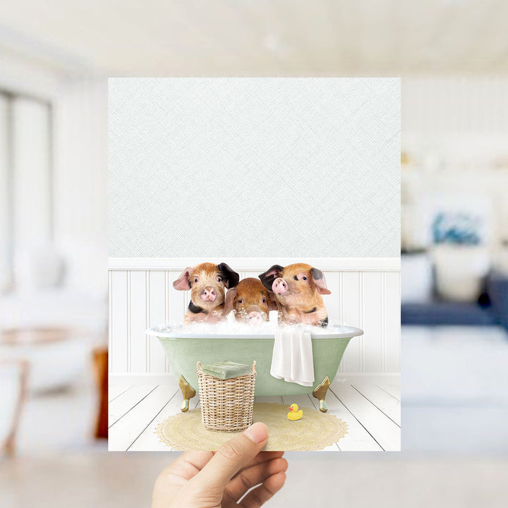 Three Little Pigs in Cottage Green Bath