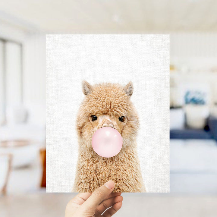 Baby Alpaca Blowing Pink Bubble Gum