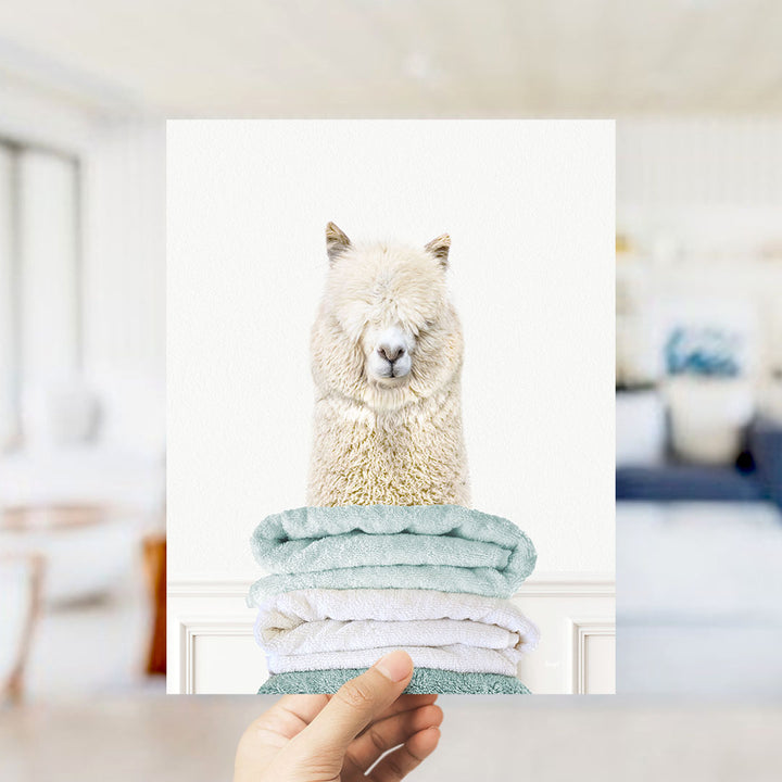Alpaca on Folded Towels - Simple White Wall
