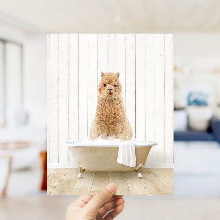 Alpaca in Farmhouse Bath