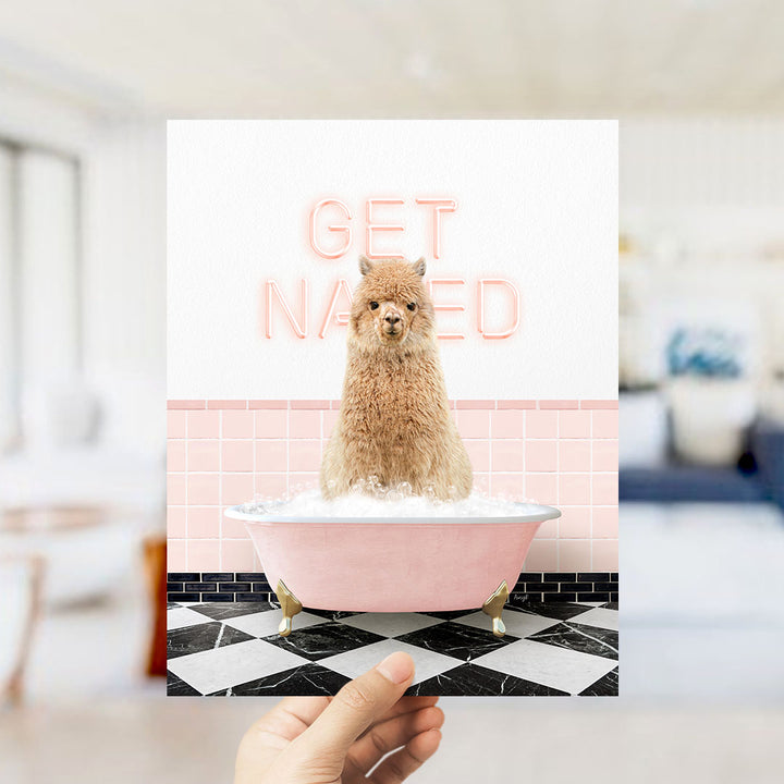 Alpaca in Retro Pink Bath