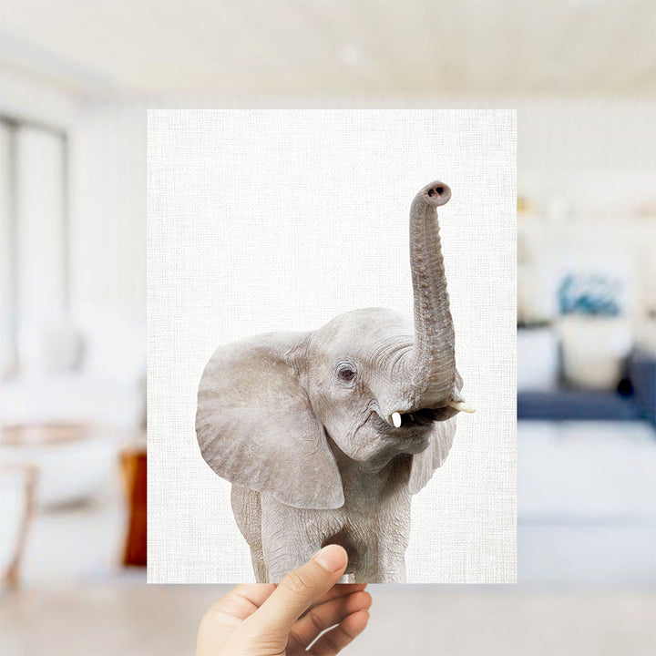 Baby Elephant - Animal Portraits