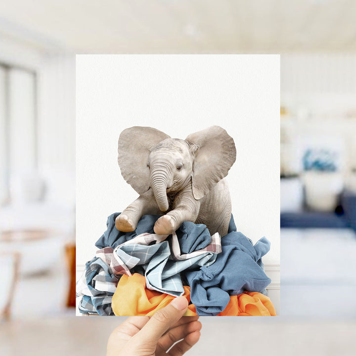 Baby Elephant on Laundry Clothes Pile - Simple White Wall