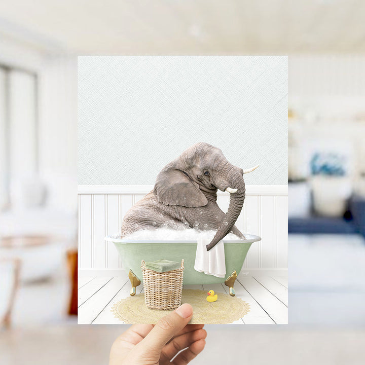 Young Elephant in Cottage Green Bath