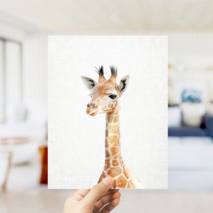 Baby Giraffe - Animal Portraits