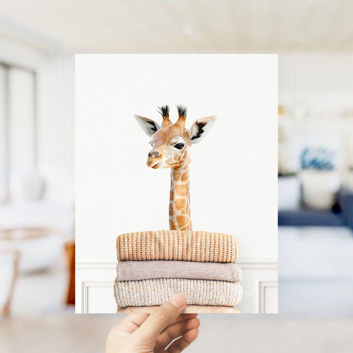Baby Giraffe on Sweaters - Simple White Wall