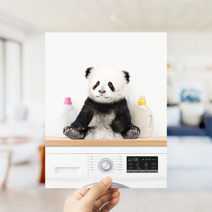 Baby Panda on Shelf Above Washing Machine - Simple White Wall
