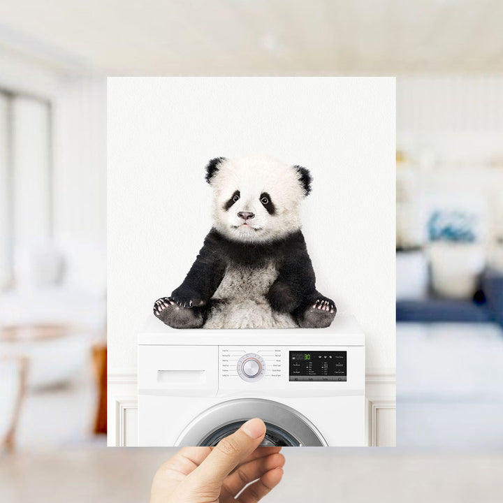 Baby Panda on Washing Machine - Simple White Wall