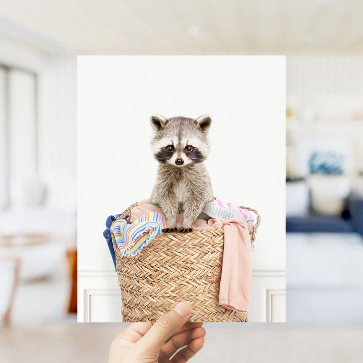 Baby Raccoon in Laundry Basket - Simple White Wall