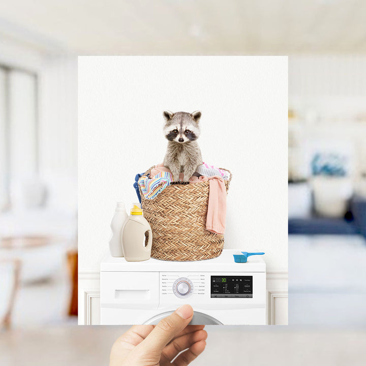 Baby Raccoon in Laundry Basket on Washing Machine - Simple White Wall