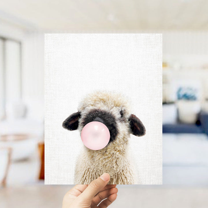Baby Black Nosed Sheep Blowing Pink Bubble Gum