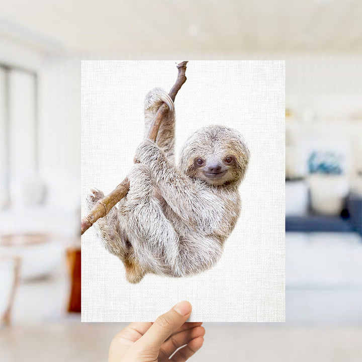 Baby Sloth Hanging Around - Animal Portraits