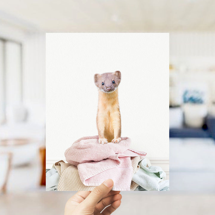 Weasel Clothes Pile - Simple White Wall