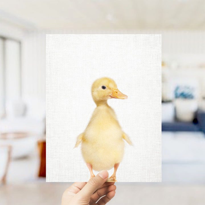 Yellow Ducky Side Glance - Animal Portraits