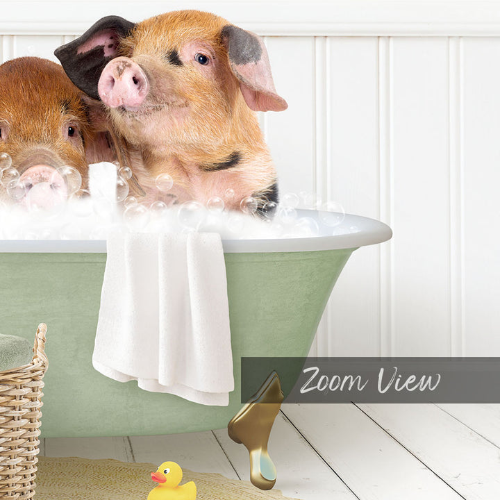 Three Little Pigs in Cottage Green Bath