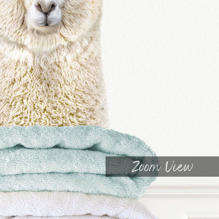 Alpaca on Folded Towels - Simple White Wall