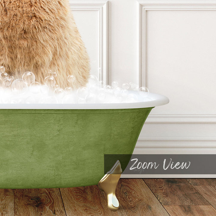 Alpaca in Transitional Bath Style