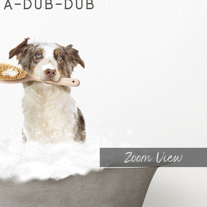 Australian Shephard Scrub A-Dub-Dub in Simple Gray Bath