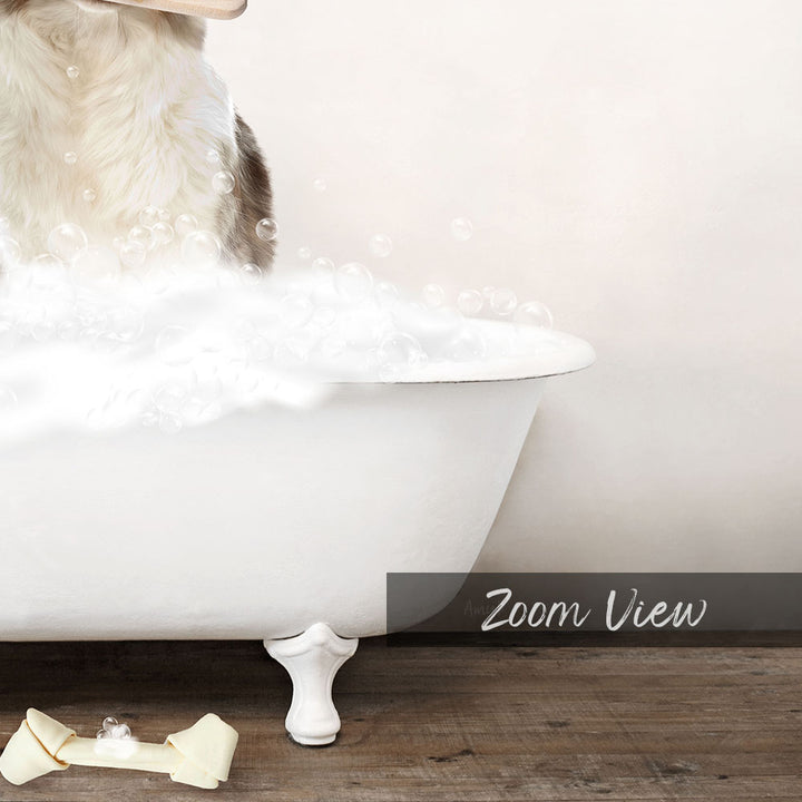 Australian Shephard in Rustic Bath Style Lots of Foamy Bubbles
