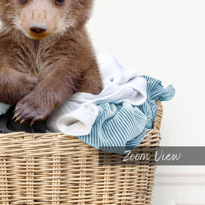Baby Bear in Laundry Basket - Simple White Wall