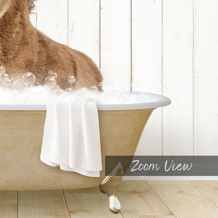 Baby Donkey in Farmhouse Bath