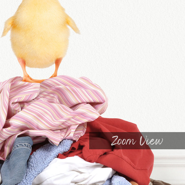 Yellow Ducky on Clothes Pile - Simple White Wall