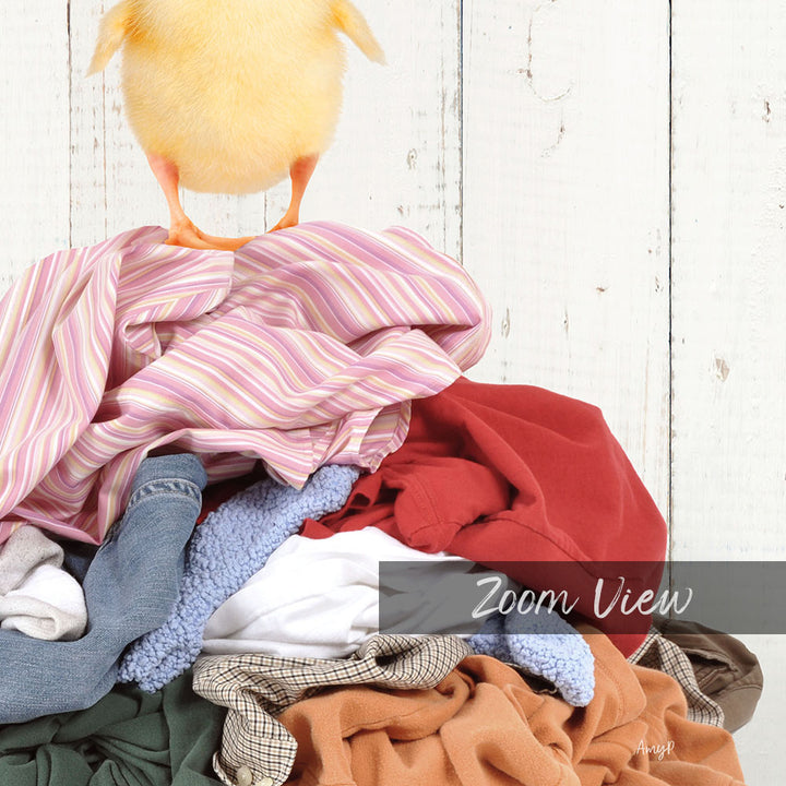 Yellow Ducky on Clothes Pile - Farmhouse Wall