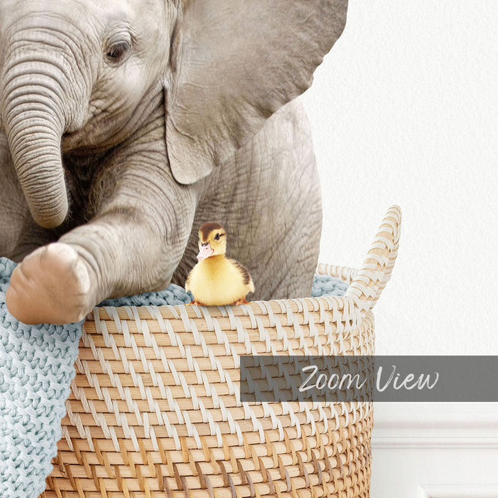 Baby Elephant in Laundry Basket - Simple White Wall