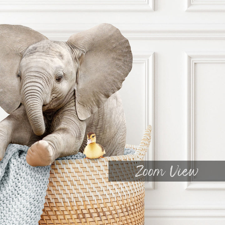 Baby Elephant in Laundry Basket - Classic White Floor