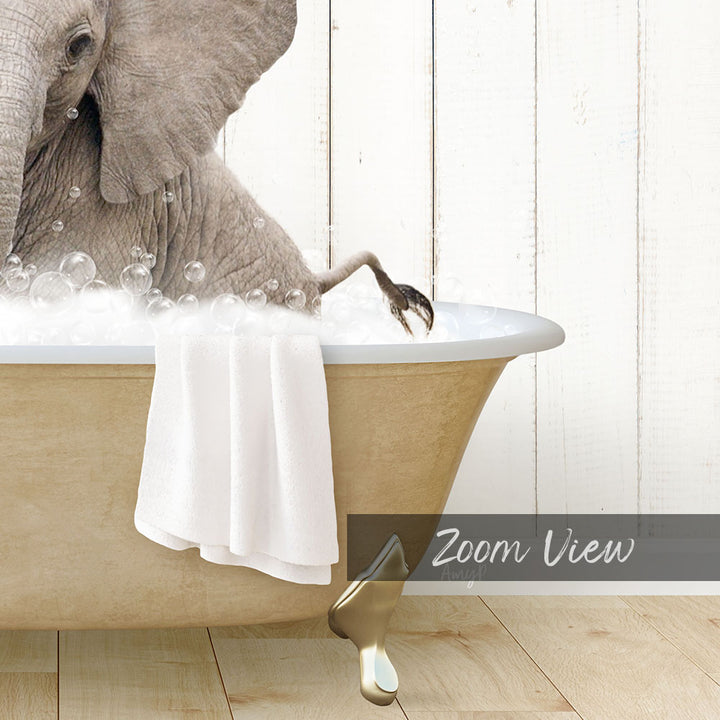 Baby Elephant No4 in Farmhouse Bath