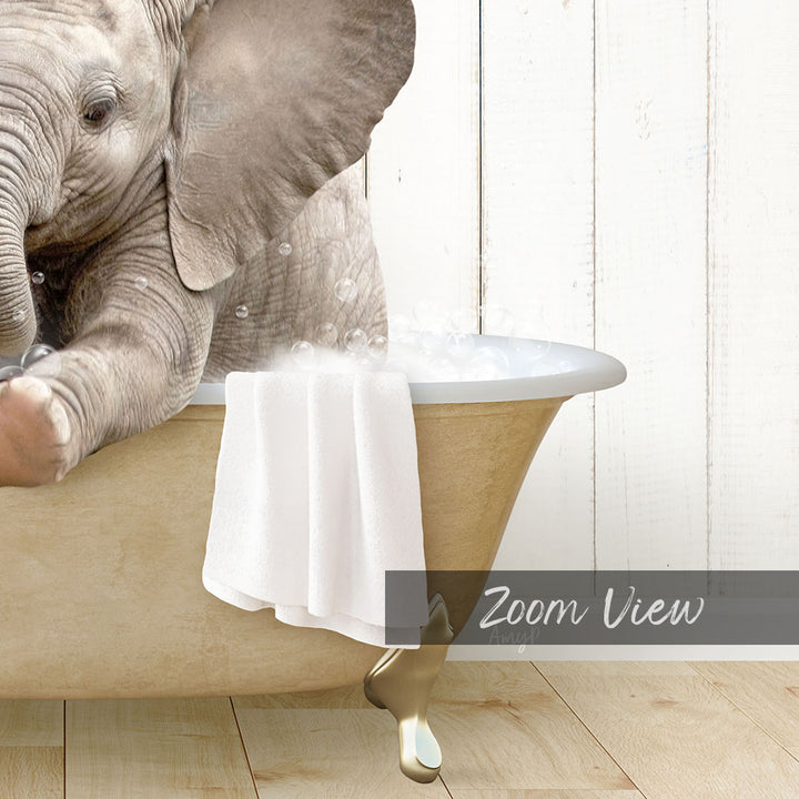 Baby Elephant No6 in Farmhouse Bath