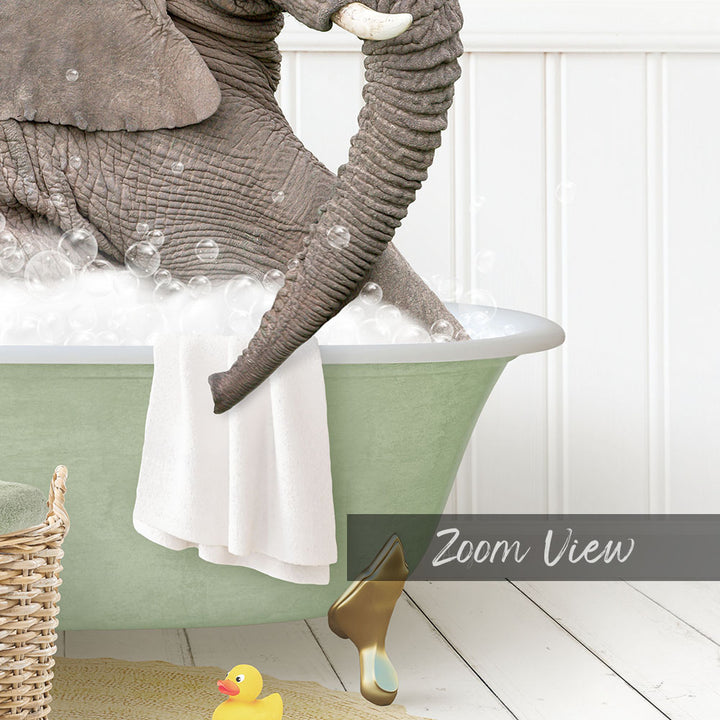 Young Elephant in Cottage Green Bath