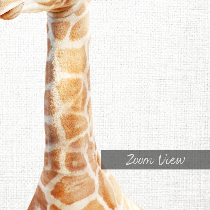 Baby Giraffe - Animal Portraits