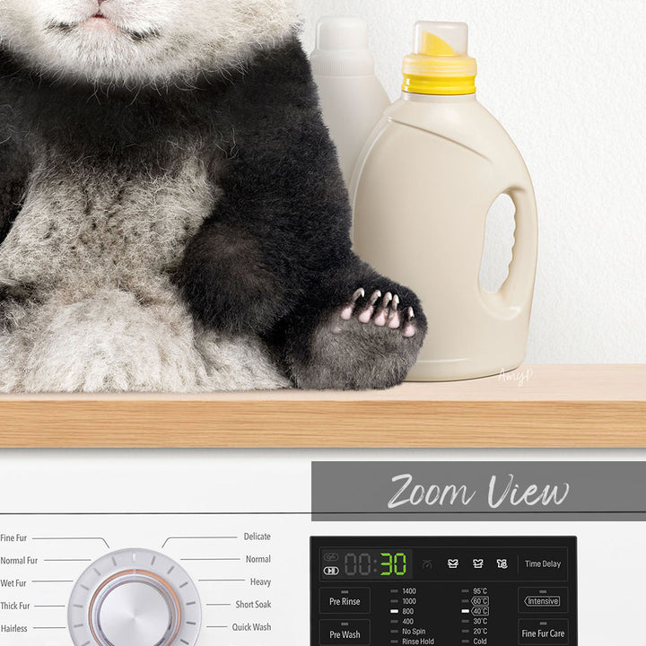 Baby Panda on Shelf Above Washing Machine - Simple White Wall