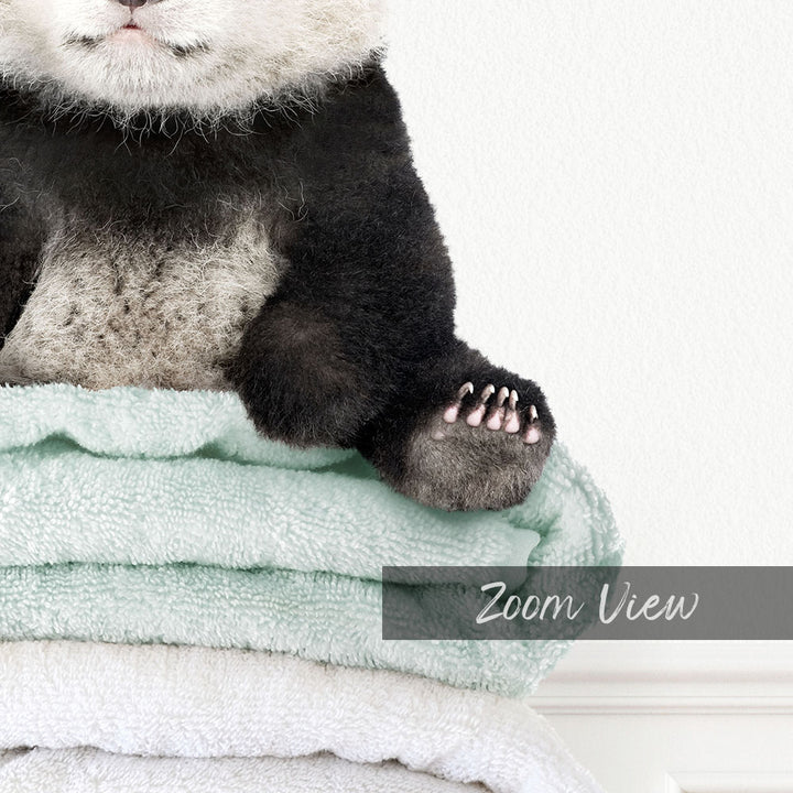 Baby Panda on Folded Towels - Simple White Wall