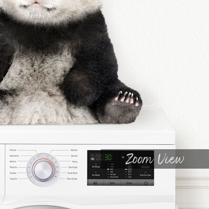 Baby Panda on Washing Machine - Simple White Wall