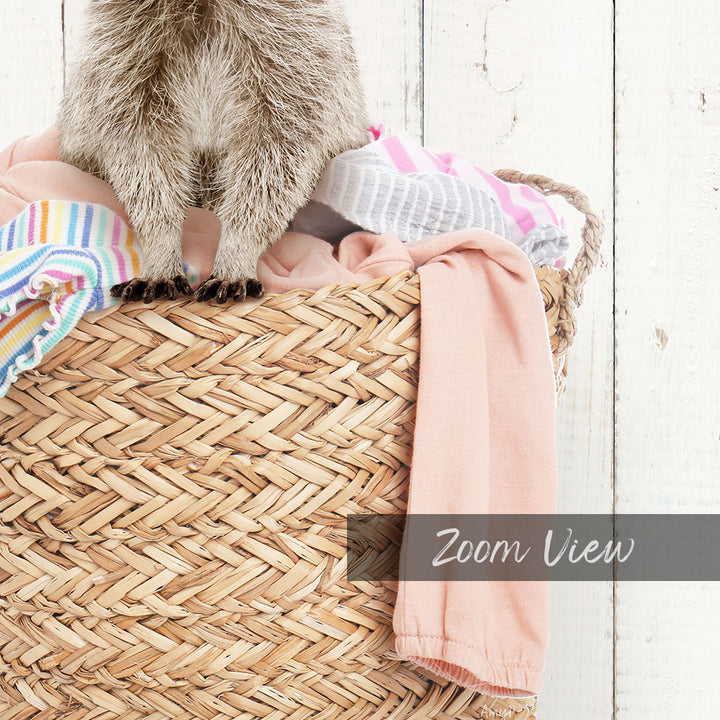Baby Raccoon in Laundry Basket - Farmhouse Wall