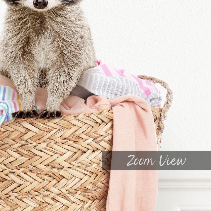 Baby Raccoon in Laundry Basket - Simple White Wall