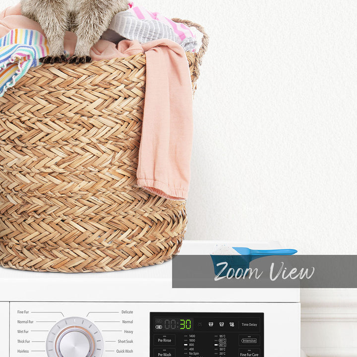 Baby Raccoon in Laundry Basket on Washing Machine - Simple White Wall