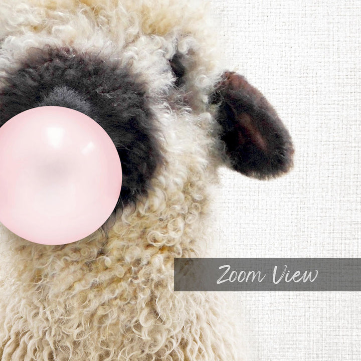 Baby Black Nosed Sheep Blowing Pink Bubble Gum